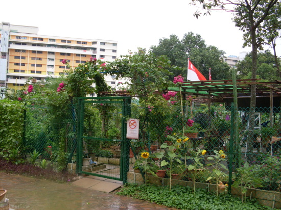 Blk 162 Tampines Street 12 (Tampines), HDB 5 Rooms #90182